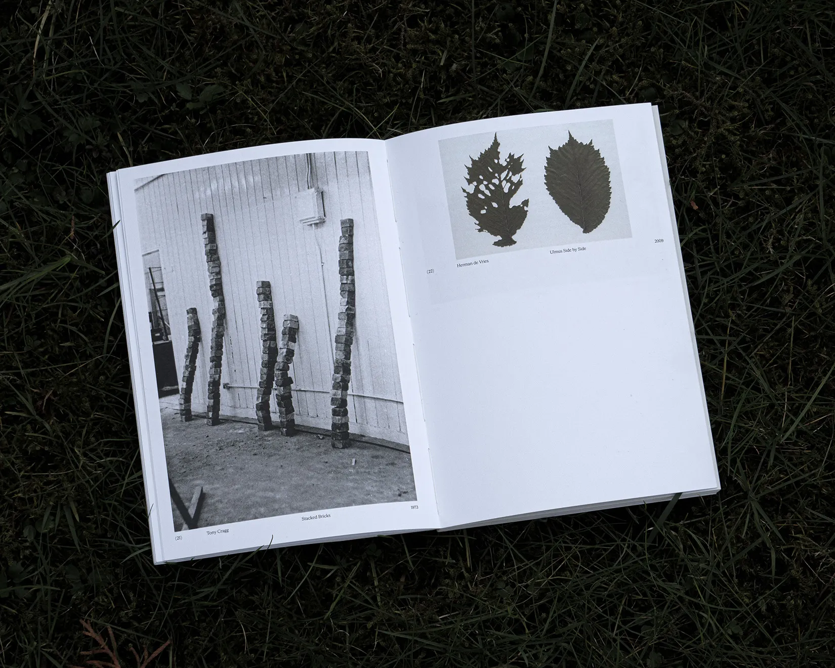 Open book lying on dark green grass, revealing a double-page image layout.