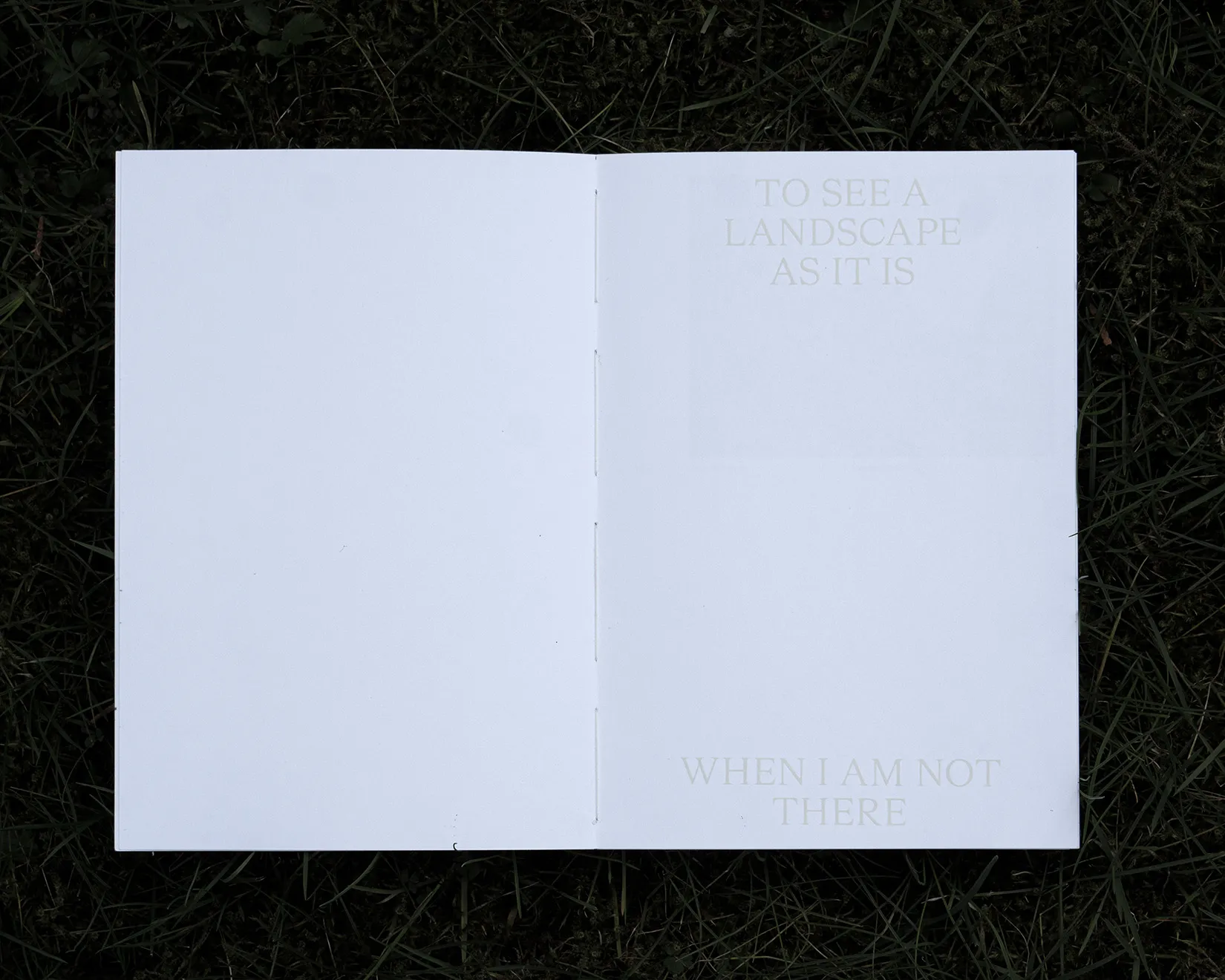 Subtle close-up of the white-on-white printed title.